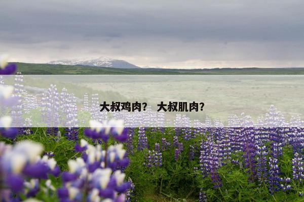 大叔鸡肉？ 大叔肌肉？