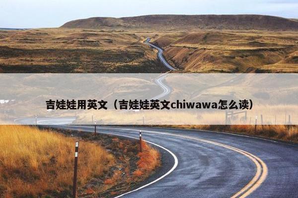 吉娃娃用英文（吉娃娃英文chiwawa怎么读）