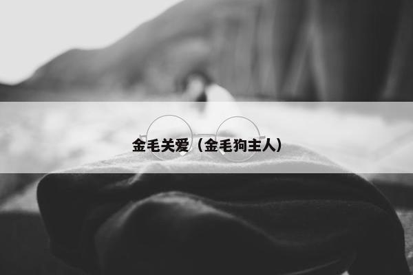 金毛关爱（金毛狗主人）