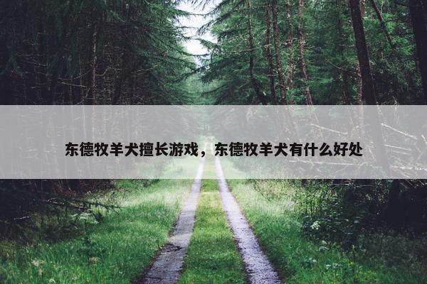 东德牧羊犬擅长游戏,东德牧羊犬有什么好处