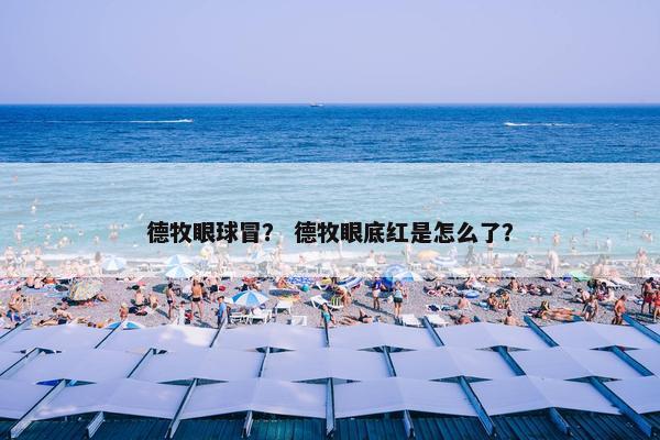 德牧眼球冒？ 德牧眼底红是怎么了？