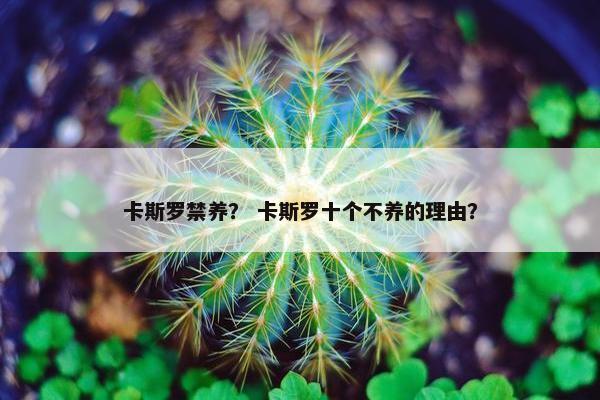 卡斯罗禁养？ 卡斯罗十个不养的理由？