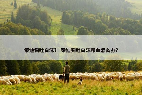 白沫