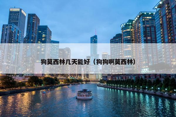 狗莫西林几天能好(狗狗啊莫西林)