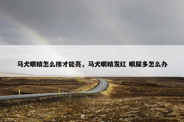 马犬眼睛怎么擦才能亮,马犬眼睛发红 眼屎多怎么办
