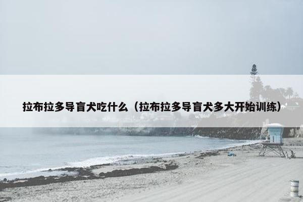 拉布拉多导盲犬吃什么（拉布拉多导盲犬多大开始训练）