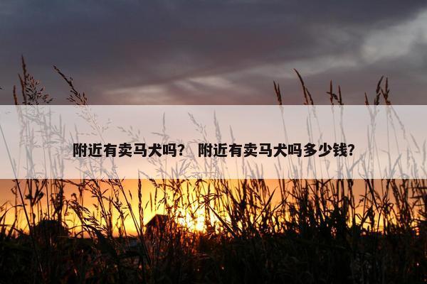 附近有卖马犬吗？ 附近有卖马犬吗多少钱？