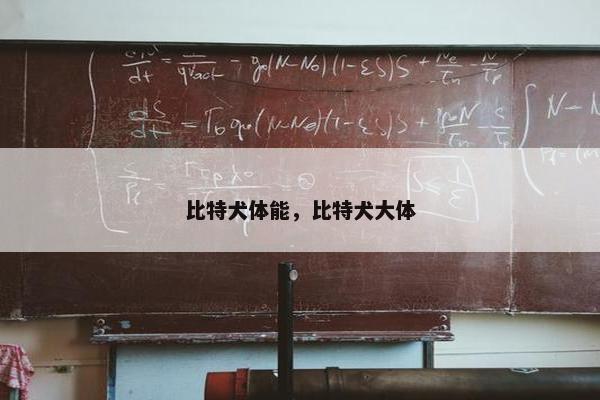 比特犬体能，比特犬大体