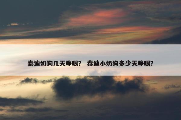 泰迪奶狗几天睁眼？ 泰迪小奶狗多少天睁眼？