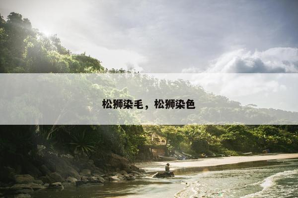 松狮染毛，松狮染色