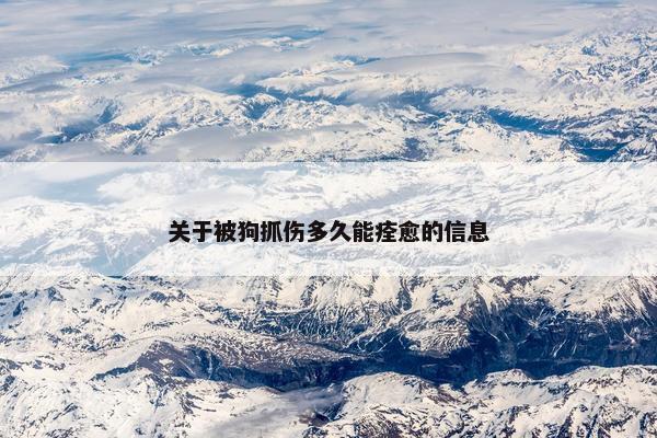 关于被狗抓伤多久能痊愈的信息