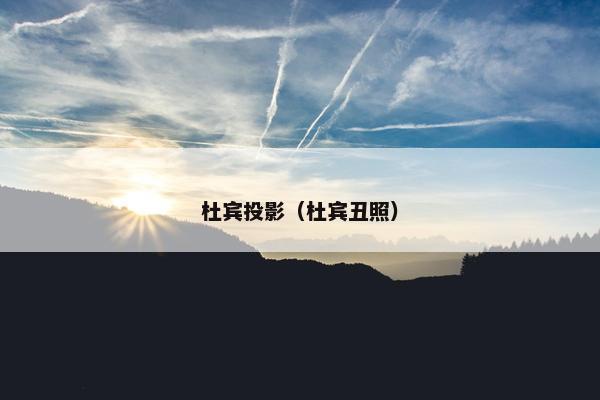 杜宾投影（杜宾丑照）