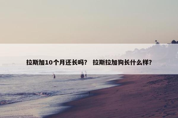 拉斯加10个月还长吗？ 拉斯拉加狗长什么样？