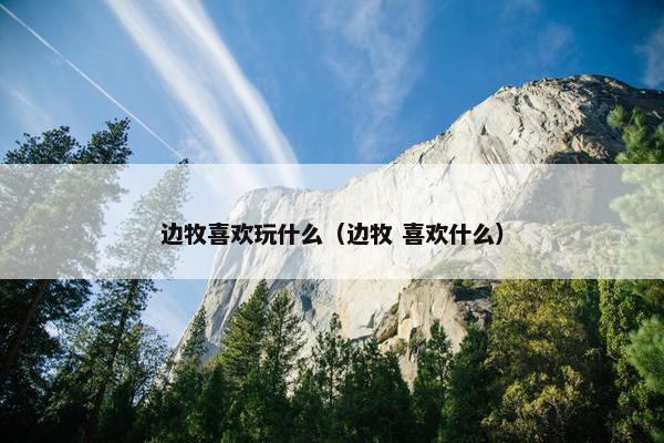 边牧喜欢玩什么（边牧 喜欢什么）