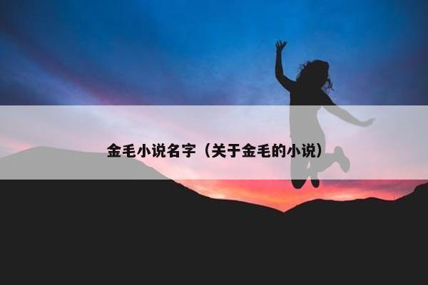 金毛小说名字（关于金毛的小说）