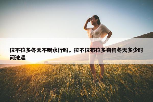 拉不拉多冬天不喝水行吗，拉不拉布拉多狗狗冬天多少时间洗澡