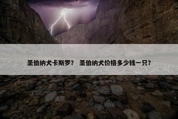 圣伯纳犬卡斯罗？ 圣伯纳犬价格多少钱一只？