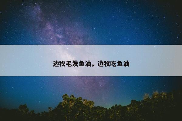 边牧毛发鱼油，边牧吃鱼油
