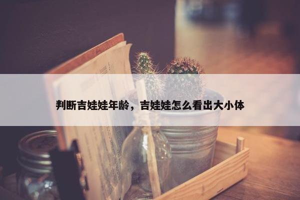 判断吉娃娃年龄，吉娃娃怎么看出大小体