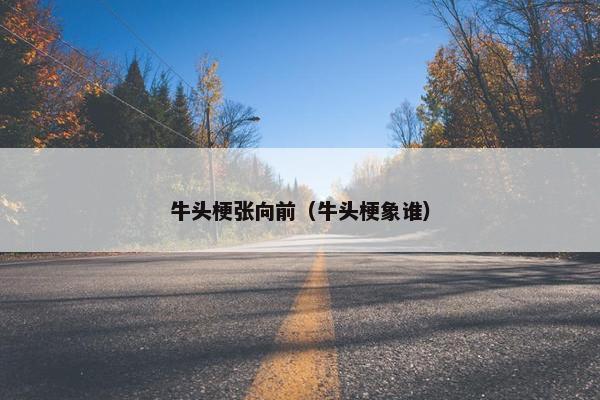 牛头梗张向前（牛头梗象谁）