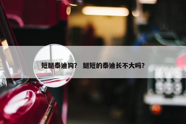 短腿泰迪狗？ 腿短的泰迪长不大吗？