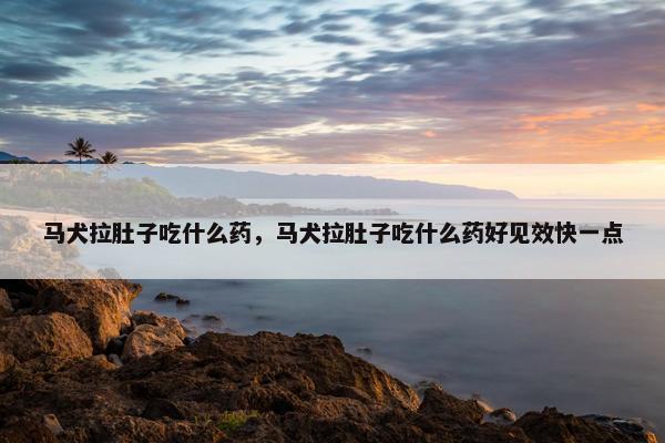 马犬拉肚子吃什么药，马犬拉肚子吃什么药好见效快一点