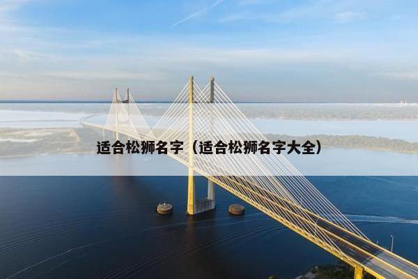 适合松狮名字（适合松狮名字大全）