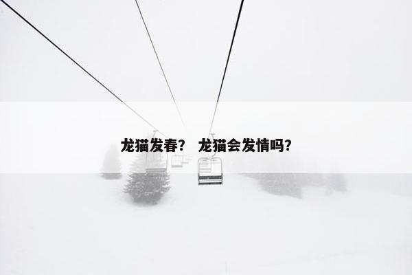 龙猫发春？ 龙猫会发情吗？