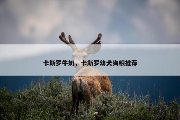 卡斯罗牛奶，卡斯罗幼犬狗粮推荐