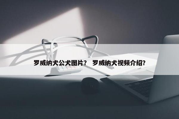 罗威纳犬公犬图片？ 罗威纳犬视频介绍？