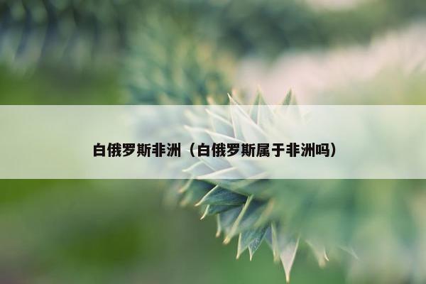 白俄罗斯非洲（白俄罗斯属于非洲吗）