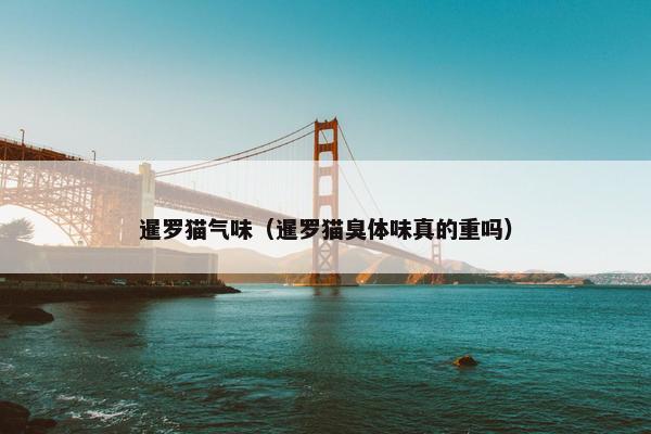 暹罗猫气味（暹罗猫臭体味真的重吗）