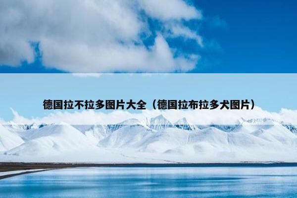 黑色 第7页