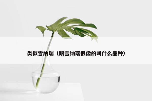 类似雪纳瑞（跟雪纳瑞很像的叫什么品种）