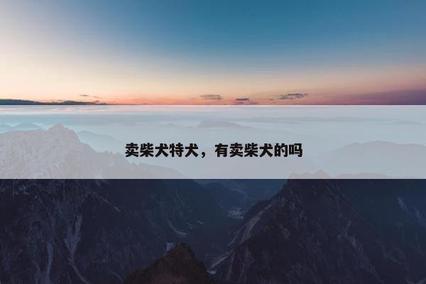 卖柴犬特犬，有卖柴犬的吗