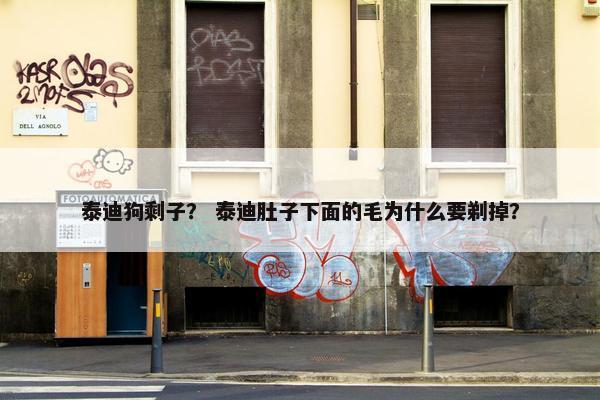 泰迪狗剩子？ 泰迪肚子下面的毛为什么要剃掉？