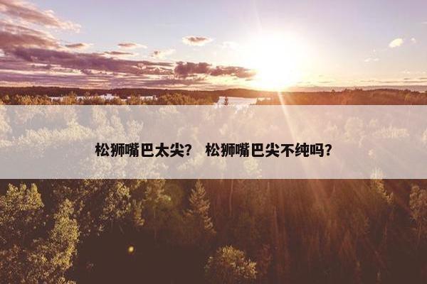 松狮嘴巴太尖？ 松狮嘴巴尖不纯吗？