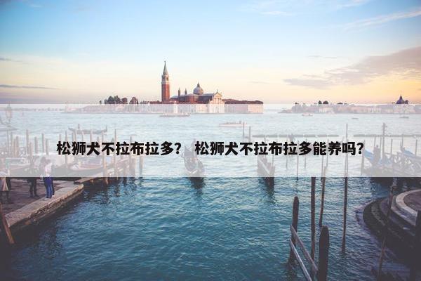 松狮犬不拉布拉多？ 松狮犬不拉布拉多能养吗？