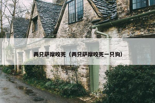 两只萨摩咬死（两只萨摩咬死一只狗）