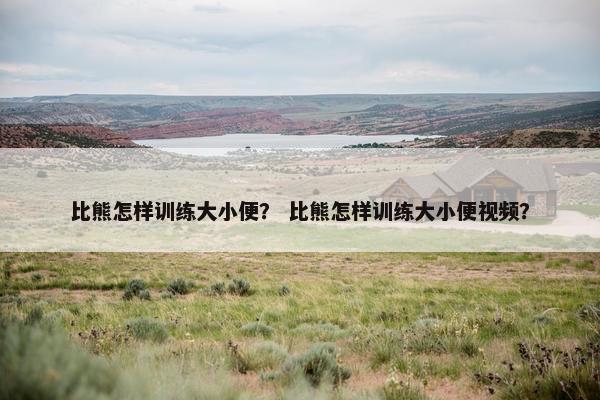 比熊怎样训练大小便？ 比熊怎样训练大小便视频？