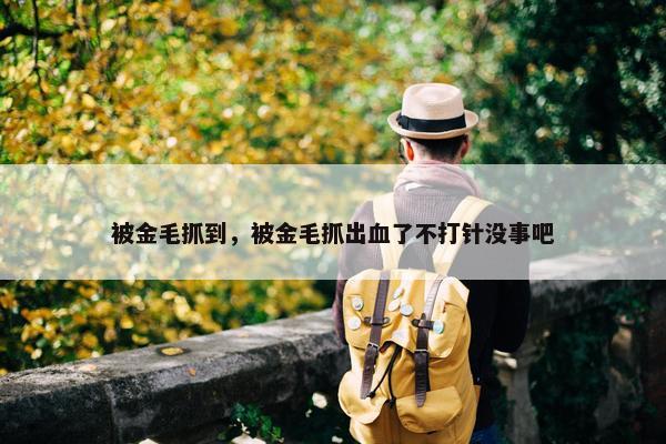 被金毛抓到，被金毛抓出血了不打针没事吧