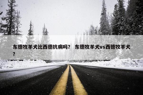 东德牧羊犬比西德抗病吗？ 东德牧羊犬vs西德牧羊犬？
