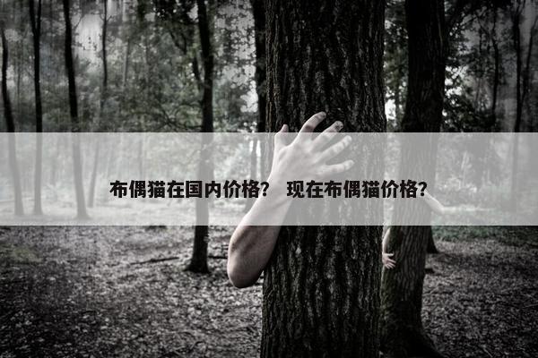 布偶猫在国内价格？ 现在布偶猫价格？