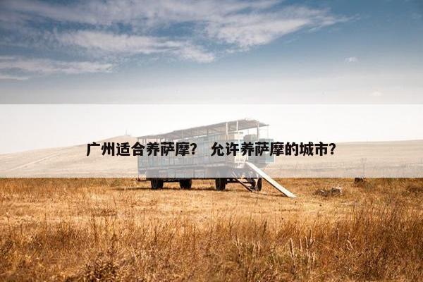 广州适合养萨摩? 允许养萨摩的城市?