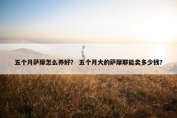 五个月萨摩怎么养好? 五个月大的萨摩耶能卖多少钱?