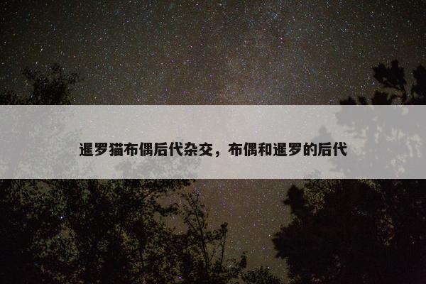暹罗猫布偶后代杂交，布偶和暹罗的后代