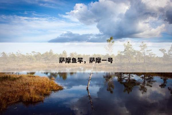 萨摩鱼竿,萨摩一号