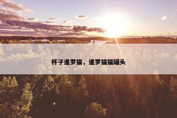 杯子暹罗猫,暹罗猫猫罐头