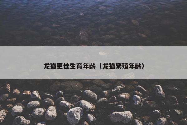 龙猫更佳生育年龄（龙猫繁殖年龄）