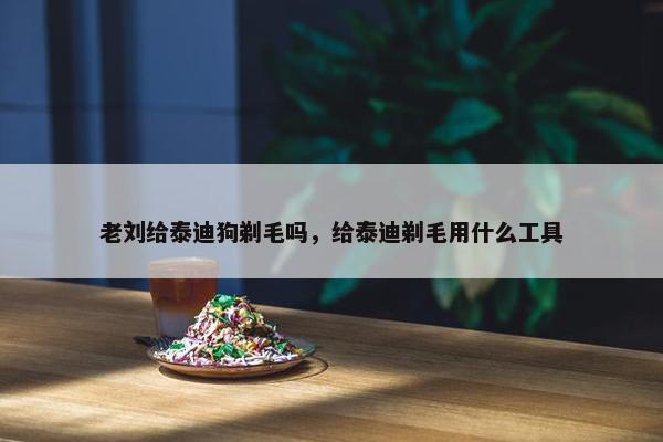 老刘给泰迪狗剃毛吗，给泰迪剃毛用什么工具